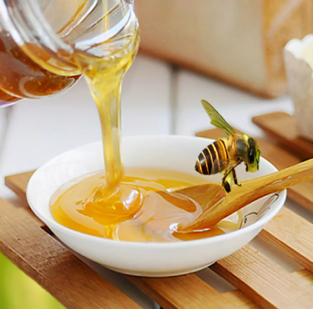 Вреден ли мед для собак? Аспекты меда, которые могут помочь собакам