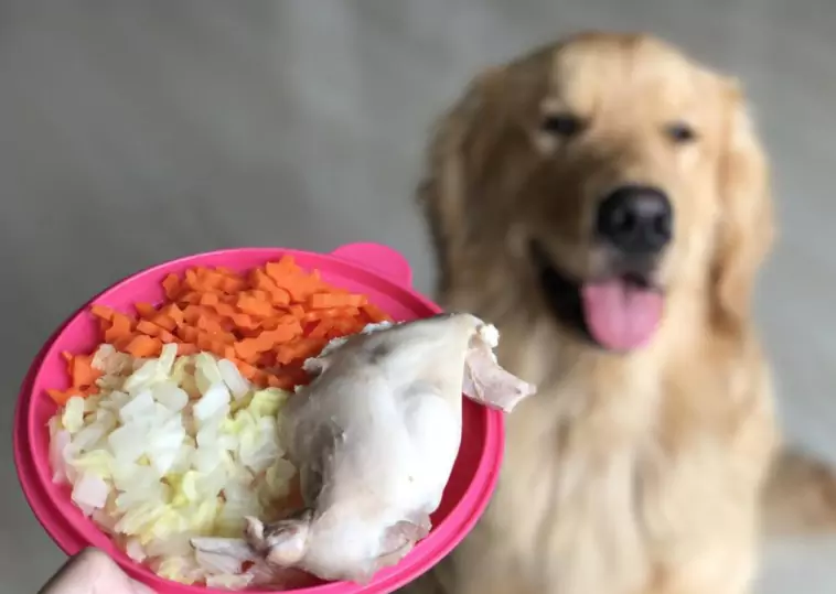 Полезен ли цыпленок для собак?