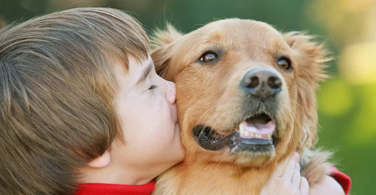 Умеют ли собаки целоваться? Понимают ли собаки значение поцелуя?